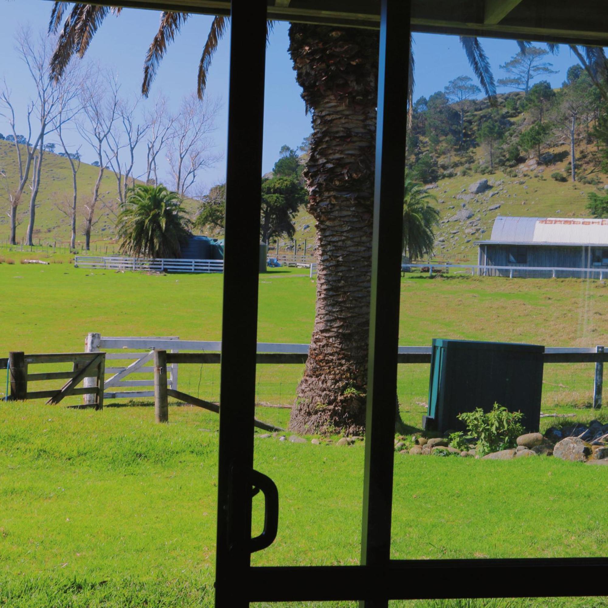 Slipper Island Resort Pauanui Exterior photo